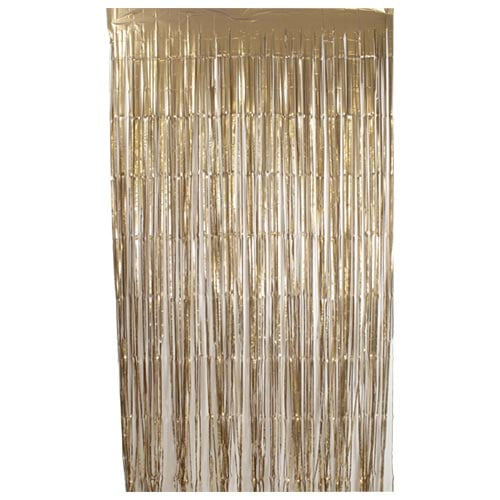 1m x 2m Tinsel Foil Curtain/Backdrop